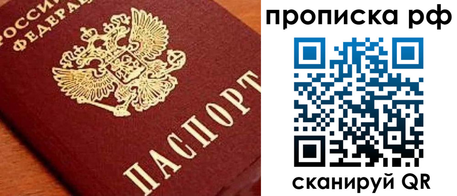 прописка законно в Сельцо